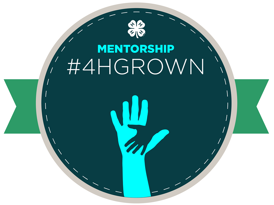 Round banner with a small hand on a larger one that reads Mentorship 4-H Grown