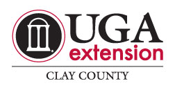UGA Extension Clay County logo