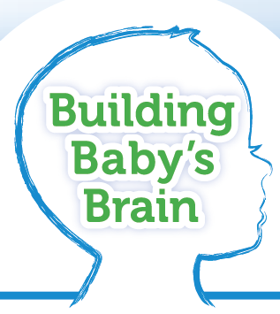Building Baby's Brain Series